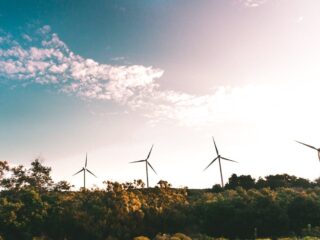 The Economic Benefit of Being Green